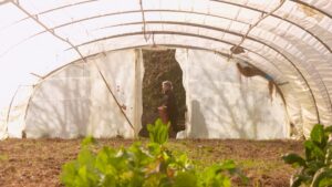 Serre agricole - Film " Vis ta vie bordel !"